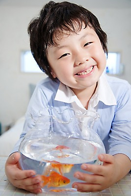 포토 JPG 동물 남자 어린이라이프 초등학생 어린이 놀이 휴식 실내 어류 한명 웃음 사람 동양인 소년 상반신 취미 앞모습 기쁨 어항 즐거움 금붕어 남자만 남자한명만 어린이만 소년만 소년한명만 국내포토 1 학생 라이프스타일 감정 뷰포인트 컨셉 표정 인종 내부 수중동물 파일형식