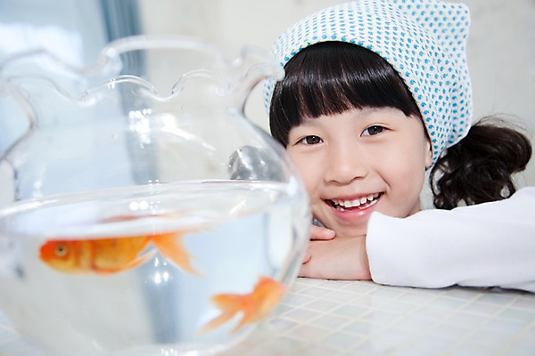 포토 JPG 동물 여자 어린이라이프 초등학생 어린이 놀이 휴식 실내 어류 한명 웃음 사람 동양인 소녀 상반신 취미 어항 금붕어 여자만 여자한명만 어린이만 소녀만 소녀한명만 국내포토 1 학생 라이프스타일 컨셉 표정 인종 내부 수중동물 파일형식