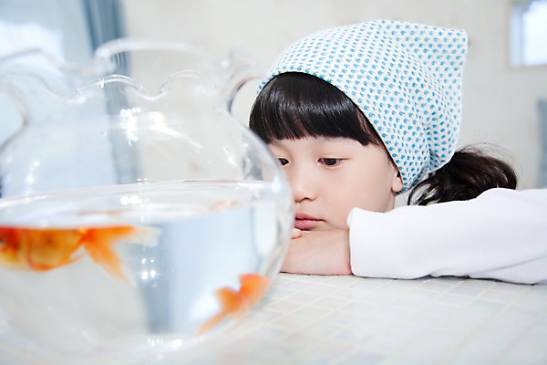 포토 JPG 동물 여자 어린이라이프 초등학생 어린이 놀이 휴식 실내 어류 한명 사람 동양인 소녀 상반신 취미 어항 호기심 금붕어 여자만 여자한명만 어린이만 소녀만 소녀한명만 국내포토 1 학생 라이프스타일 감정 컨셉 인종 내부 수중동물 파일형식