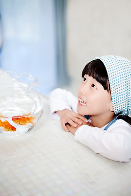 포토 JPG 동물 여자 어린이라이프 초등학생 어린이 놀이 휴식 실내 어류 한명 웃음 사람 동양인 소녀 상반신 취미 어항 금붕어 여자만 여자한명만 어린이만 소녀한명만 국내포토 1 학생 라이프스타일 컨셉 표정 인종 내부 수중동물 소녀만 파일형식