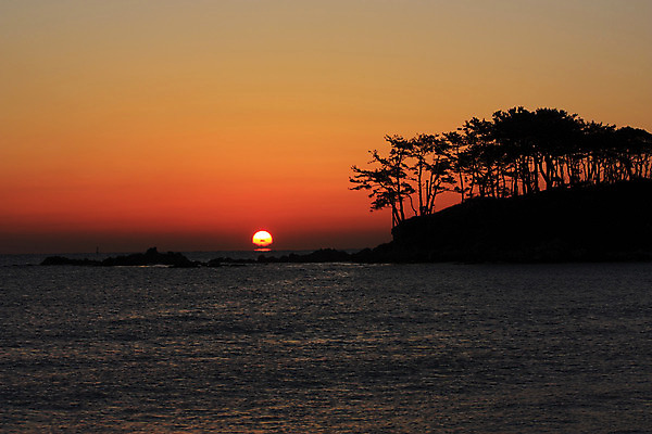 포토 JPG 나무 식물 실루엣 물결 바다 섬 자연 풍경 사람없음 야외 태양 일출 노을 일몰 숲 국내포토 자연요소 촬영기법 생태계 파일형식