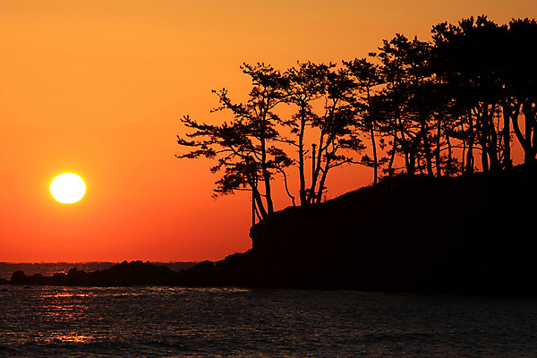 포토 JPG 나무 식물 실루엣 물결 바다 섬 자연 풍경 사람없음 야외 태양 일출 노을 일몰 국내포토 자연요소 촬영기법 생태계 파일형식