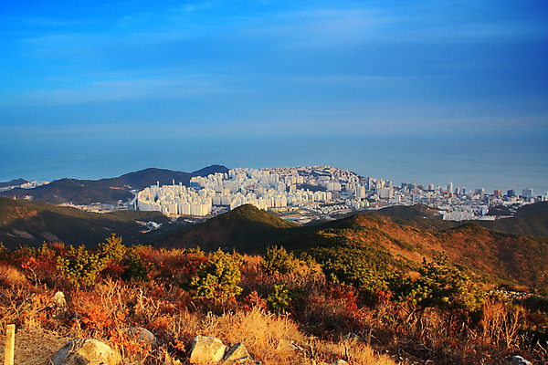 포토 JPG 주간 나무 식물 계절 단풍 자연 하늘 산 아파트 주택 풍경 사람없음 야외 건물 마을 가을 도시 국내포토 자연요소 건축물 잎 생태계 파일형식