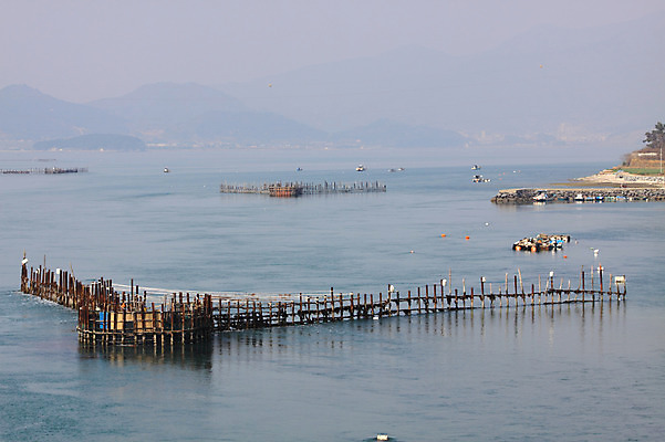 포토 JPG 주간 바다 자연 산 풍경 사람없음 야외 그물 어촌 어장 국내포토 자연요소 시골 생태계 파일형식