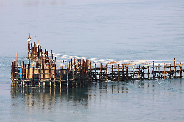 포토 JPG 주간 바다 자연 풍경 사람없음 야외 그물 어촌 어장 국내포토 자연요소 시골 생태계 파일형식