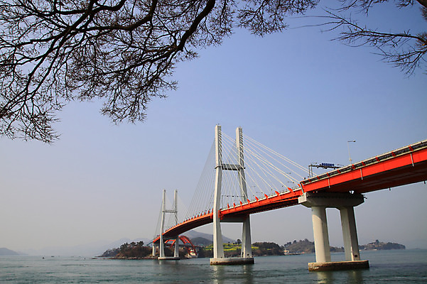 포토 JPG 주간 나무 식물 바다 자연 하늘 풍경 사람없음 야외 나뭇가지 가교 국내포토 자연요소 건축물 생태계 파일형식
