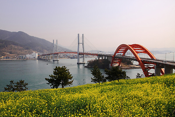 포토 JPG 주간 나무 식물 계절 꽃 섬 꽃밭 자연 하늘 산 풍경 사람없음 야외 강 봄 유채 가교 국내포토 자연요소 건축물 생태계 파일형식