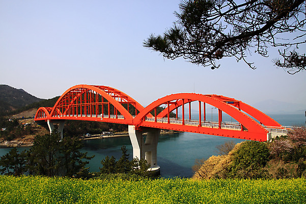 포토 JPG 주간 나무 식물 계절 꽃 섬 꽃밭 자연 하늘 풍경 초원 사람없음 야외 강 봄 나뭇가지 풀 유채 가교 국내포토 자연요소 건축물 생태계 파일형식