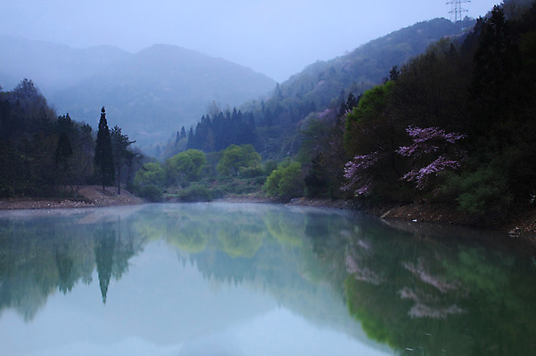 포토 JPG 주간 나무 식물 계절 호수 자연 하늘 산 풍경 사람없음 야외 반사 봄 안개 저수지 연못 숲 국내포토 자연요소 날씨 생태계 파일형식