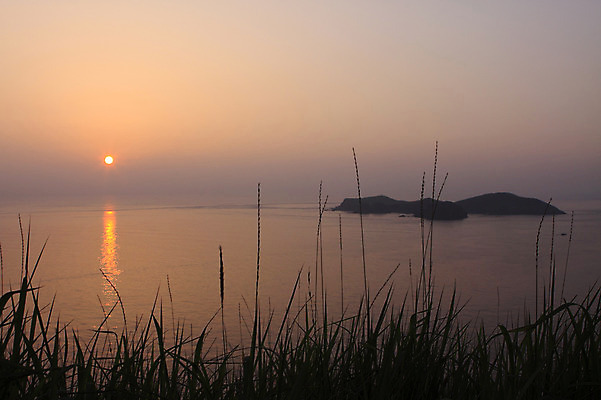 포토 JPG 식물 바다 섬 자연 풍경 사람없음 야외 태양 일출 노을 일몰 풀 국내포토 자연요소 생태계 파일형식