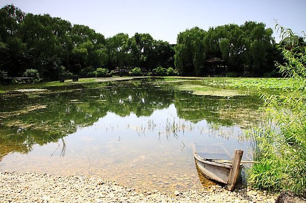 포토 JPG 주간 나무 식물 호수 교통 수상교통 자연 풍경 사람없음 야외 물 연못 풀 숲 나룻배 선박 국내포토 자연요소 교통수단 배_교통 생태계 파일형식