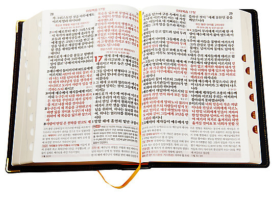 포토 JPG 스튜디오촬영 기독교 종교 종교용품 기독교용품 실내 누끼 사람없음 책 성경 펼침 오브젝트 페이지 성경말씀 국내포토 모션 내부 파일형식