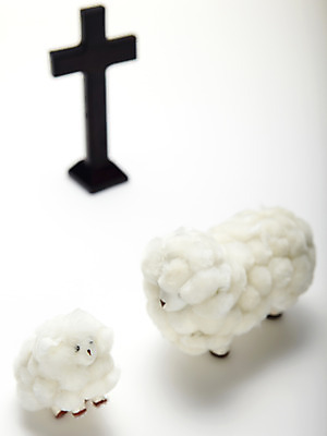 포토 JPG 스튜디오촬영 기독교 종교 새끼 인형 십자가 종교용품 기독교용품 실내 사람없음 양 오브젝트 양인형 국내포토 동물 포유류 내부 파일형식