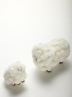 포토 JPG 스튜디오촬영 기독교 종교 새끼 인형 종교용품 기독교용품 실내 사람없음 양 오브젝트 양인형 국내포토 동물 포유류 내부 파일형식