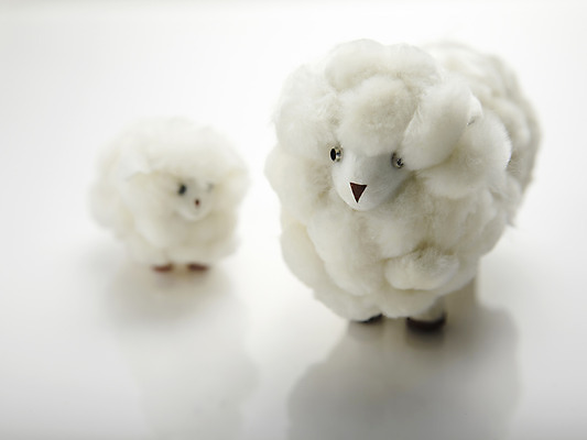 포토 JPG 스튜디오촬영 기독교 종교 새끼 인형 종교용품 기독교용품 실내 사람없음 양 오브젝트 양인형 국내포토 동물 포유류 내부 파일형식