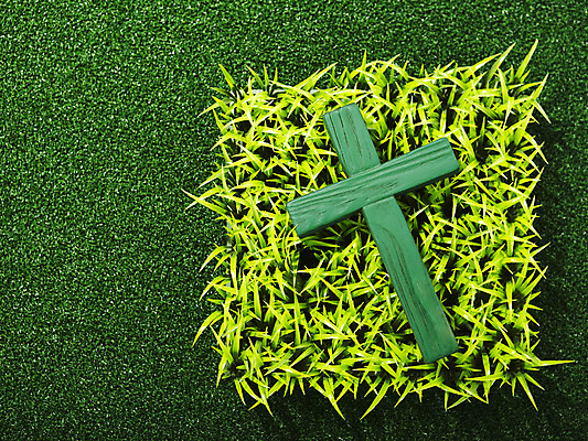 포토 JPG 스튜디오촬영 식물 기독교 종교 컬러 백그라운드 십자가 종교용품 기독교용품 실내 잔디 사람없음 목재 초록색 풀 오브젝트 나무십자가 국내포토 나무 재료 내부 파일형식