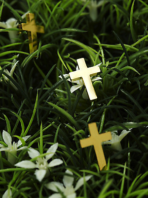 포토 JPG 스튜디오촬영 식물 꽃 기독교 종교 십자가 종교용품 기독교용품 실내 사람없음 풀 오브젝트 국내포토 내부 파일형식