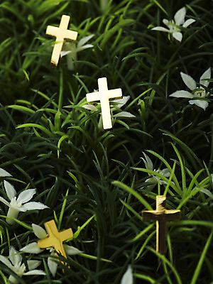 포토 JPG 스튜디오촬영 식물 꽃 기독교 종교 십자가 종교용품 기독교용품 실내 사람없음 풀 오브젝트 국내포토 내부 파일형식