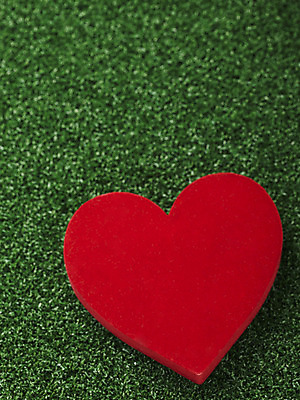 포토 JPG 스튜디오촬영 기독교 종교 백그라운드 종교용품 기독교용품 실내 선물 사랑 잔디 사람없음 초록색 선물상자 상자 하트 오브젝트 국내포토 모양 식물 감정 컬러 내부 파일형식