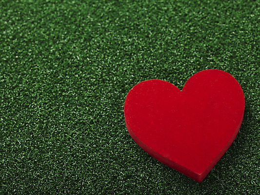 포토 JPG 스튜디오촬영 기독교 종교 백그라운드 종교용품 기독교용품 실내 선물 사랑 잔디 사람없음 초록색 선물상자 상자 하트 오브젝트 국내포토 모양 식물 감정 컬러 내부 파일형식