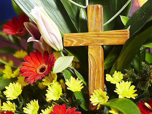 포토 JPG 식물 꽃 기독교 종교 백그라운드 십자가 잎 종교용품 기독교용품 실내 사람없음 교회 오브젝트 나무십자가 국내포토 종교건축 내부 건물 파일형식