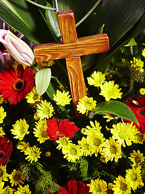 포토 JPG 식물 꽃 기독교 종교 백그라운드 십자가 잎 종교용품 기독교용품 실내 사람없음 교회 오브젝트 나무십자가 국내포토 종교건축 내부 건물 파일형식