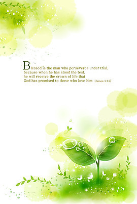 EPS 식물 기독교 종교 줄기 컬러 백그라운드 잎 일러스트 자연 나뭇잎 사람없음 초록색 새싹 성경 물방울 이슬 감성 내추럴 자연적 국내일러스트 컨셉 종교용품 생태계 파일형식 벡터