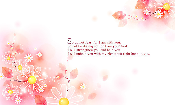 EPS 식물 꽃잎 꽃 기독교 종교 줄기 분홍색 백그라운드 잎 꽃백그라운드 일러스트 자연 나뭇잎 사람없음 성경 나뭇가지 감성 내추럴 자연적 국내일러스트 나무 컬러 컨셉 종교용품 생태계 파일형식 벡터