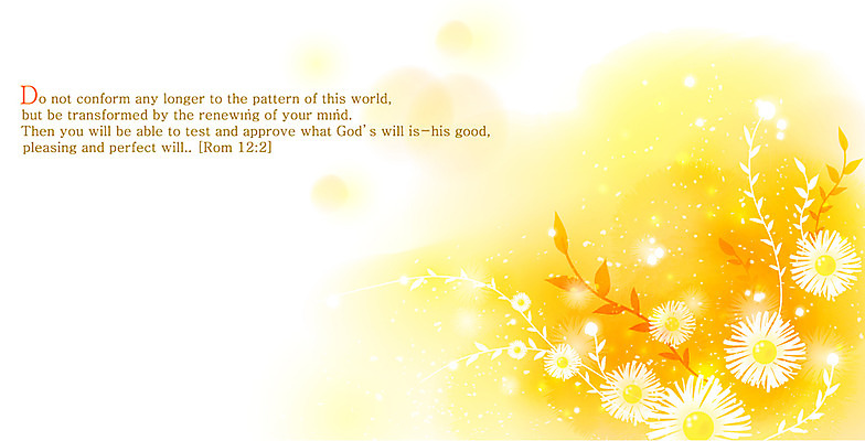 EPS 식물 꽃 기독교 종교 줄기 컬러 백그라운드 꽃백그라운드 일러스트 자연 사람없음 노란색 성경 들꽃 감성 내추럴 쑥부쟁이 자연적 국내일러스트 컨셉 종교용품 생태계 파일형식 벡터