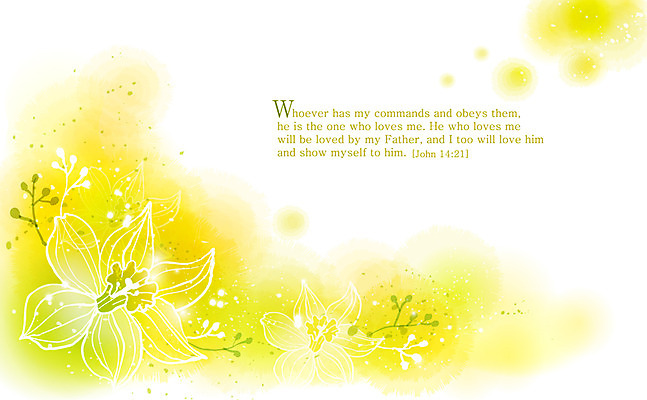 EPS 식물 꽃 기독교 종교 줄기 컬러 백그라운드 꽃무늬 꽃백그라운드 일러스트 자연 사람없음 노란색 성경 감성 수선화 내추럴 자연적 국내일러스트 컨셉 무늬 종교용품 생태계 파일형식 벡터