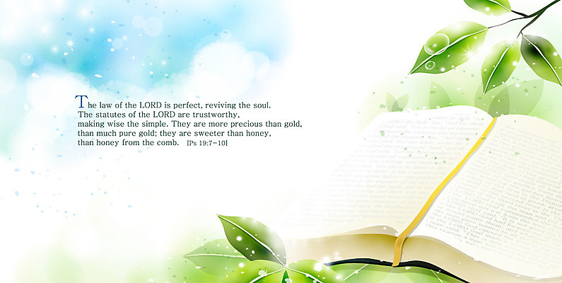 EPS 나무 구름 기독교 종교 백그라운드 잎 일러스트 종교용품 자연 하늘 나뭇잎 기독교용품 사람없음 빛 햇빛 성경 나뭇가지 감성 내추럴 자연적 국내일러스트 자연요소 식물 컨셉 태양 생태계 파일형식 벡터