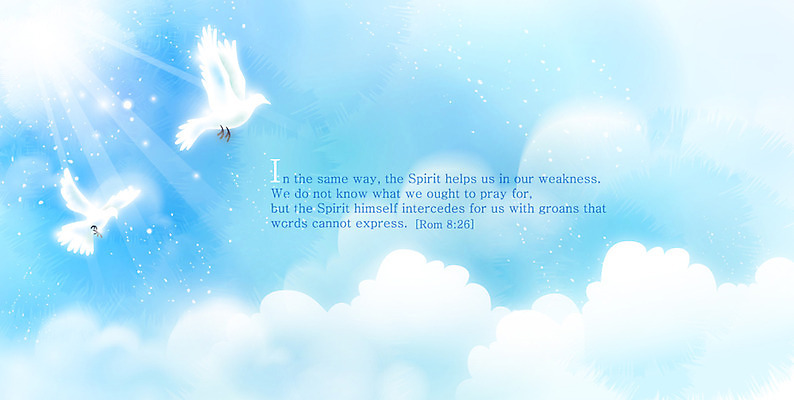 EPS 동물 구름 기독교 종교 하늘색 백그라운드 일러스트 자연 조류 하늘 사람없음 빛 햇빛 태양 성경 비둘기 감성 내추럴 성령 자연적 국내일러스트 자연요소 컨셉 종교용품 파란색 생태계 파일형식 벡터