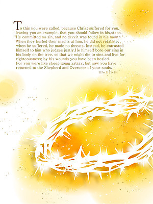 EPS 기독교 종교 컬러 백그라운드 일러스트 자연 사람없음 노란색 성경 감성 가시면류관 내추럴 자연적 국내일러스트 컨셉 종교용품 생태계 파일형식 벡터