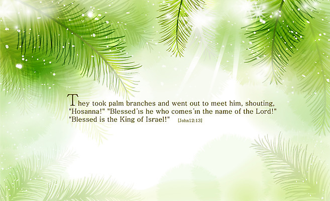 EPS 식물 기독교 종교 컬러 백그라운드 잎 일러스트 자연 나뭇잎 사람없음 초록색 빛 햇빛 성경 감성 내추럴 종려나무 종려나무잎 자연적 국내일러스트 나무 컨셉 종교용품 태양 생태계 파일형식 벡터