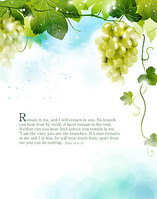 EPS 식물 열매 기독교 종교 음식 줄기 백그라운드 잎 과일 일러스트 자연 포도 나뭇잎 사람없음 성경 감성 내추럴 자연적 국내일러스트 컨셉 종교용품 생태계 파일형식 벡터