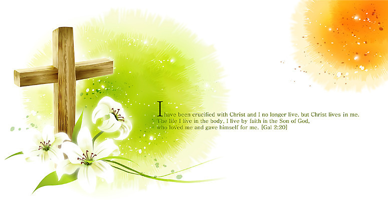 EPS 식물 꽃 기독교 종교 백그라운드 십자가 일러스트 자연 사람없음 성경 백합 감성 내추럴 자연적 국내일러스트 컨셉 종교용품 생태계 파일형식 벡터