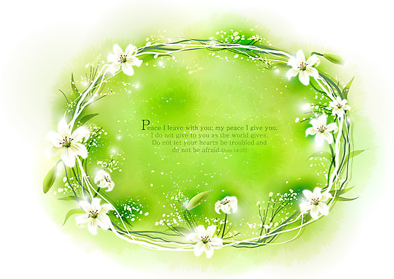 EPS 식물 꽃 기독교 종교 컬러 백그라운드 꽃백그라운드 일러스트 자연 사람없음 초록색 성경 백합 감성 내추럴 자연적 국내일러스트 컨셉 종교용품 생태계 파일형식 벡터