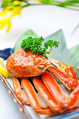 포토 JPG 해외기획촬영 그릇 접시 음식 2010년일본 요리 사람없음 게 게요리 대게요리 국내포토 식기 갑각류 파일형식