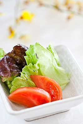 포토 JPG 해외기획촬영 그릇 접시 음식 토마토 채소 2010년일본 서양음식 요리 사람없음 샐러드 양상추 국내포토 식기 파일형식