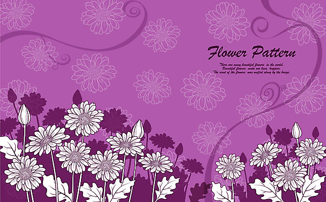 EPS 식물 사계절 계절 꽃잎 꽃 실루엣 컬러 백그라운드 무늬 꽃무늬 패턴 꽃백그라운드 일러스트 자연 사람없음 보라색 가을 데이지 플라워패턴 가을배경 국내일러스트 촬영기법 생태계 파일형식 벡터 가을_계절