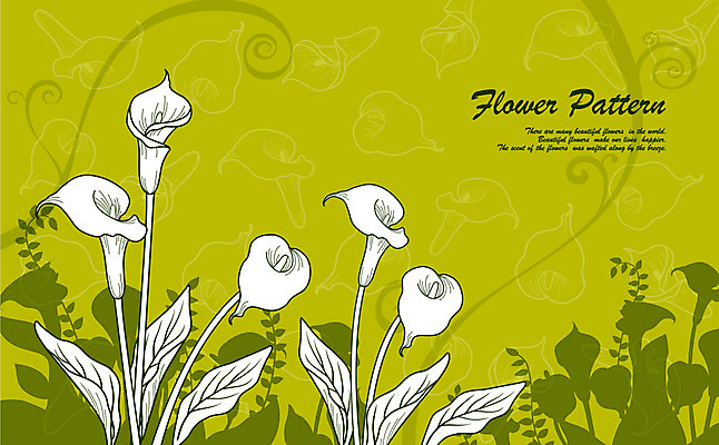 EPS 식물 사계절 계절 꽃잎 꽃 실루엣 컬러 백그라운드 무늬 꽃무늬 패턴 꽃백그라운드 일러스트 자연 사람없음 초록색 봄 카라 플라워패턴 봄배경 국내일러스트 촬영기법 생태계 파일형식 벡터