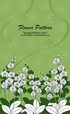 EPS 식물 사계절 계절 꽃잎 꽃 실루엣 컬러 백그라운드 무늬 꽃무늬 패턴 꽃백그라운드 일러스트 자연 사람없음 초록색 여름 서양난 플라워패턴 국내일러스트 촬영기법 생태계 파일형식 벡터