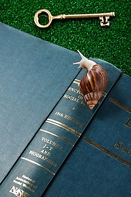 포토 JPG 스튜디오촬영 동물 한마리 백그라운드 컨셉 열쇠 연체동물 실내 사람없음 책 오브젝트 달팽이 국내포토 1 무척추동물 내부 파일형식