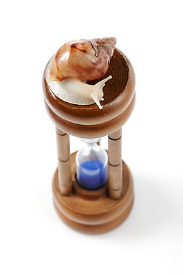 포토 JPG 스튜디오촬영 동물 한마리 백그라운드 컨셉 연체동물 실내 누끼 사람없음 하이앵글 공백 모래시계 오브젝트 달팽이 국내포토 1 모래 뷰포인트 시계 무척추동물 내부 파일형식