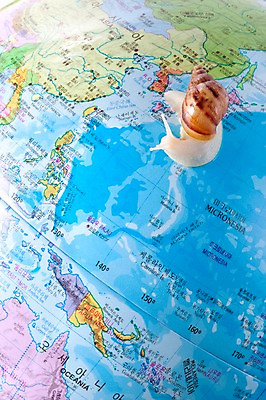 포토 JPG 스튜디오촬영 동물 한마리 백그라운드 컨셉 지도 연체동물 한국 실내 사람없음 지구본 오브젝트 달팽이 한반도 국내포토 1 아시아 무척추동물 내부 파일형식