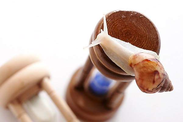 포토 JPG 스튜디오촬영 동물 한마리 백그라운드 컨셉 연체동물 실내 사람없음 모래시계 오브젝트 달팽이 국내포토 1 모래 시계 무척추동물 내부 파일형식