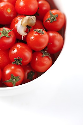 포토 JPG 스튜디오촬영 동물 한마리 그릇 음식 백그라운드 컨셉 토마토 채소 방울토마토 연체동물 실내 사람없음 오브젝트 달팽이 국내포토 1 식기 무척추동물 내부 파일형식