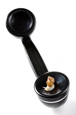 포토 JPG 스튜디오촬영 동물 한마리 백그라운드 컨셉 연체동물 실내 누끼 사람없음 통신기기 공백 가전제품 전화기 오브젝트 수화기 달팽이 국내포토 1 통신 무척추동물 내부 기계 파일형식