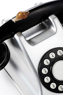 포토 JPG 스튜디오촬영 동물 한마리 백그라운드 컨셉 연체동물 실내 사람없음 통신기기 가전제품 전화기 오브젝트 달팽이 국내포토 1 통신 무척추동물 내부 기계 파일형식