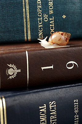 포토 JPG 스튜디오촬영 동물 한마리 백그라운드 컨셉 연체동물 실내 사람없음 책 오브젝트 달팽이 국내포토 1 무척추동물 내부 파일형식